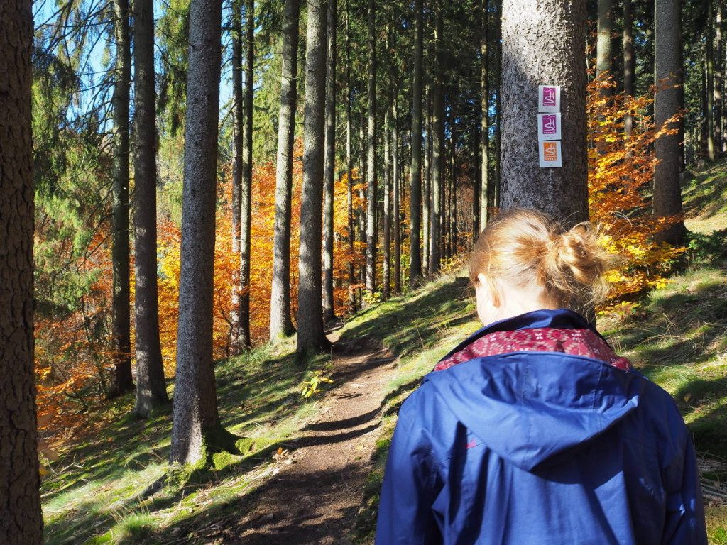 Traumschleife Zwei-Täler-Weg im Herbst © Cora Berger | greenshapedheart.de
