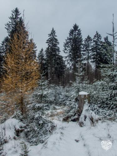Winter am Erbeskopf © Cora Backes | Green Shaped Heart